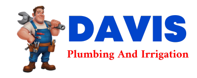 Trusted plumber in CEDAR RIVER